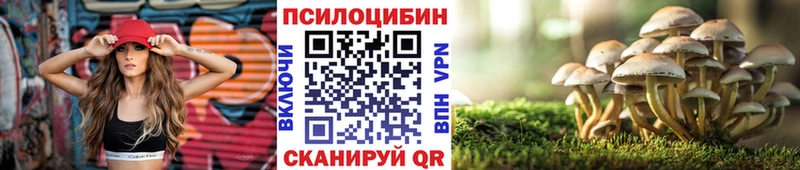 Галлюциногенные грибы GOLDEN TEACHER  блэк спрут зеркало  Дыгулыбгей  продажа наркотиков 